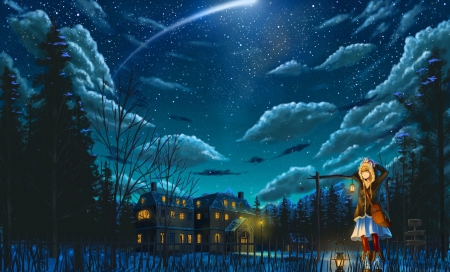 Stars in the night sky - house, pretty, anime, ligths, girl, night, stars