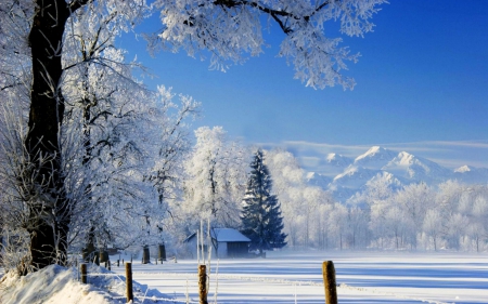 Winter Landscape - winter, nature, snow, landscapes