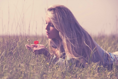 For You - field, lady, flower, photography