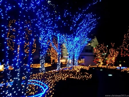 Blue Christmas Lights - lanterns, trees, lights, blue