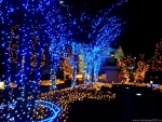 Blue Christmas Lights