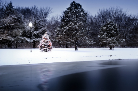 Christmas Tree Along Lake - trees, pine trees, water, post, night, reflection, christmas, lights, ornaments, lake, sky, lamps