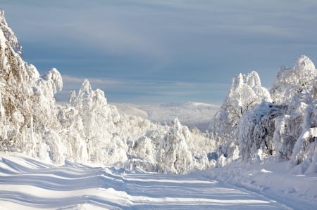 Winter Mountain Road - sky, trees, winter, snow covered, mountains, road, nature, clouds, snow