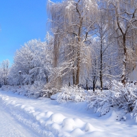Winter Time