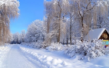 Winter Time - hut, season, ice, skyphoenixx1, trees, way, winter, path, nature, forest, woods, frost, snow, lamps, cabin, house