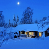 Winter Evening