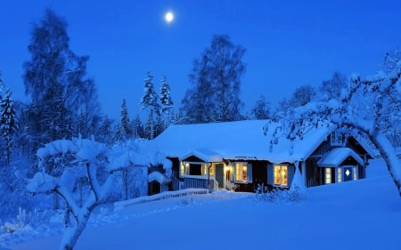 Winter Evening - moon, house, trees, winter, cabin, evening, snow, forest, ice, nature, season, SkyPhoenixX1, lights, frost, hut, woods