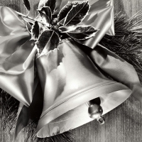 silver bells beautiful