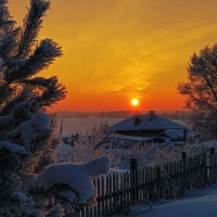 Winter Sunset over Snowy Trees