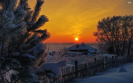 Winter Sunset over Snowy Trees - nature, trees, snow, winter, sunsets, landscapes