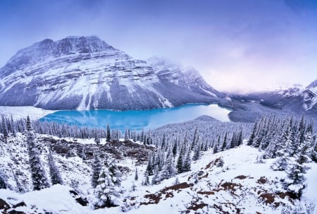 Winter wonder - lake, trees, mountain, snow, blue, winter