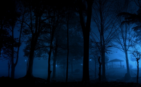 Cold Mist Night - trees, night, cold night, blue