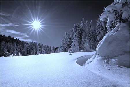 Winter sunrise - picture, winter, wallpaper, color, time, new