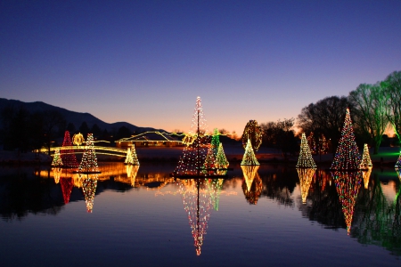 December Scenery - lights, mirror, divine, beautiful, christmas trees, stunning, december