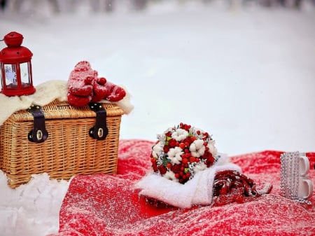 Winter Time - snow, photography, red, winter, decoration