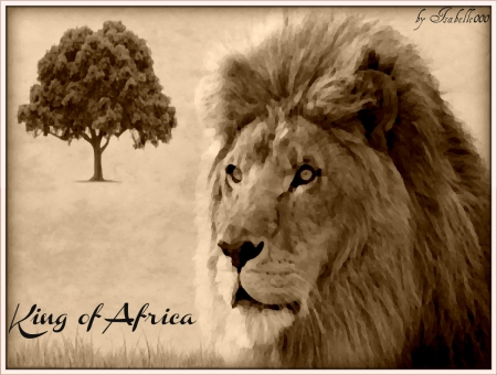 King of Africa - art, lion, wild, animal, king, africa