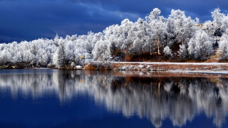 Winter river - trees, landscape, winter, reflection, river, beautiful, frost, blue, snow, frozen