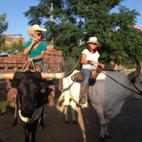 Bull Riders