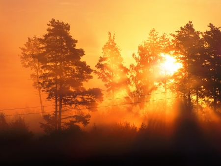 Autumn  fog. - sunsets, nature, autumn, other