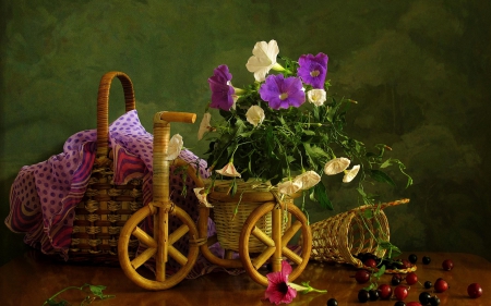 Still life - basket, purple, still life, beauty