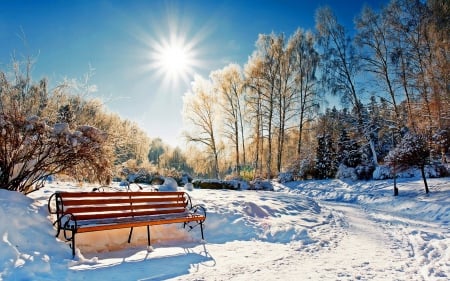 Winter Park - trees, winter, snow, sunshine, path, ice, coldness, nature, season, SkyPhoenixX1, frost, bench, sun, way, park