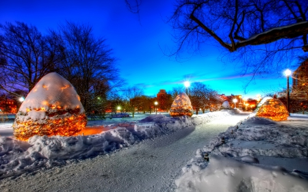 Christmas Park - town, fir trees, evening, firs, snow, holidays, SkyPhoenixX1, silent night, frost, xmas, lamps, trees, winter, city, christmas, ice, coldness, nature, season, park