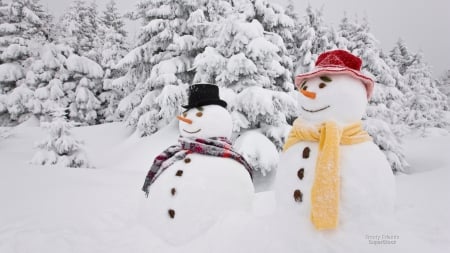 Snowmen - winter, nature, snowmen, snow