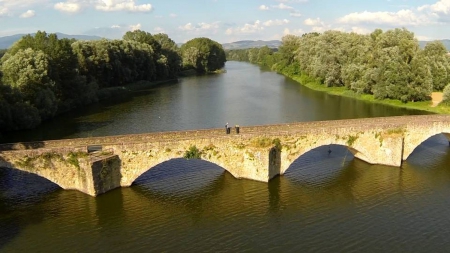 river bridge - nature, fun, cool, forest, river, bridge