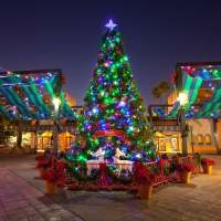 Busch Gardens Christmas