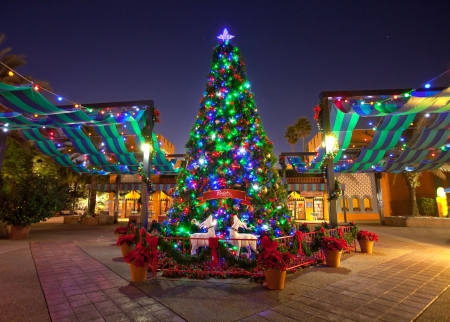 Busch Gardens Christmas - christmas, xmas, tree, lights