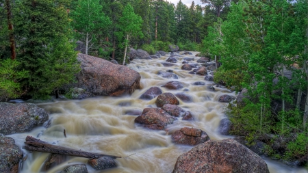 A River - forest, trees, river, rock, waterfall