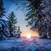 Winter Sunrise