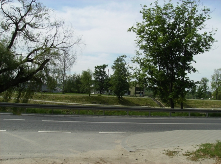 The road - fields, grey, way, green, tree, road