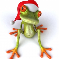 Christmas Froggie