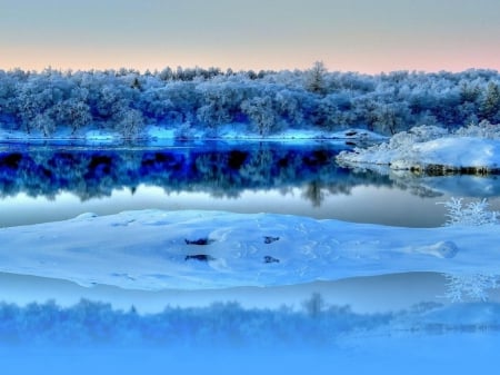 Frozen River - frozen, trees, reflection, river