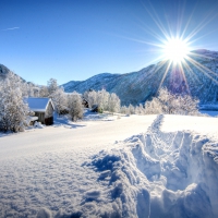 Winter Morning
