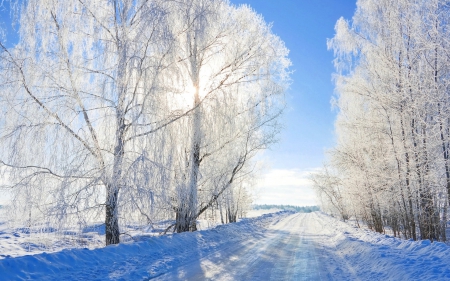 Winter - ice, sunshine, skyphoenixx1, trees, coldness, way, sun, winter, road, nature, frost, snow