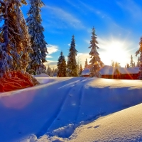 A Beautiful Winter Day