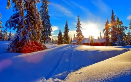 A Beautiful Winter Day - hut, ice, sky, skyphoenixx1, sunshine, coldness, trees, sun, fir trees, winter, nature, frost, snow, cabin, house, sunrise