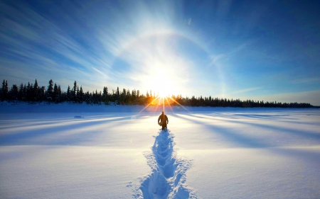 The Winter Way Home - horizon, sunshine, people, coldness, journey, photography, sun, sunset, home, man, ice, sunbeams, skyphoenixx1, travel, way, winter, trace, nature, abstract, wwods, forest, frost, snow, photo, sunrise