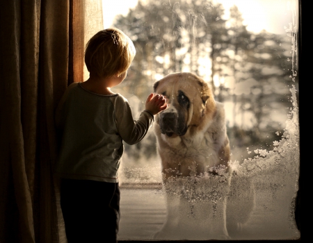 ♥ - boy, winter, winter time, dog, pure love, love, child, animals