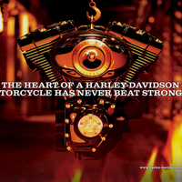 Harley Motor 96 ci