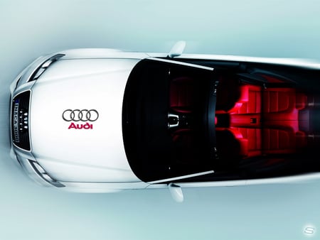 AUDI 2009 - sexy, auto, 2009, cabiro, logo, sher ali, car, audi, new