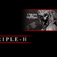 TRIPLE H LOGO