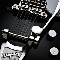 Bigsby Gretsch Guitar