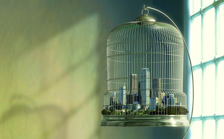 City in a Birdcage - birdcage, 3d and cg, city in a birdcage