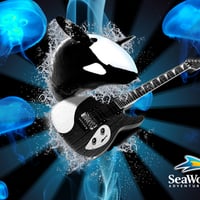 shamu guitar