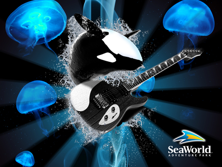 shamu guitar