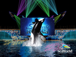 shamu rocks