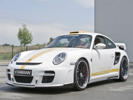 Porsche-911 - hamann, porsche 911, stallion, turbo